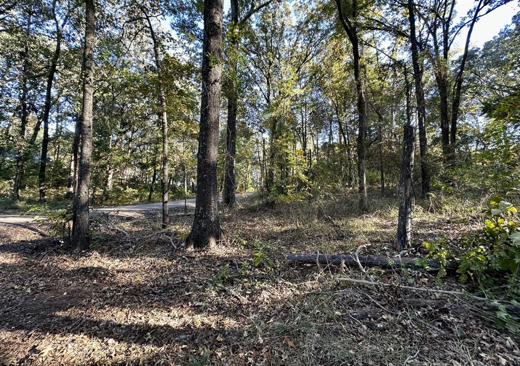 Hopes Landing - Land