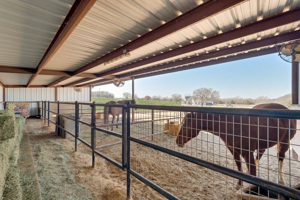 Bailey Acc - Farm