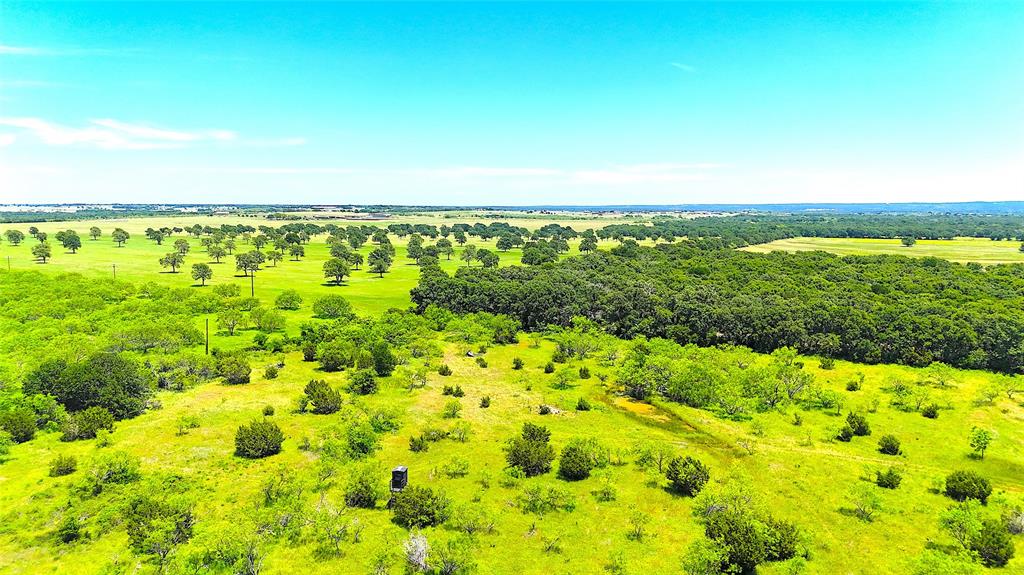 11020 Hwy 281
