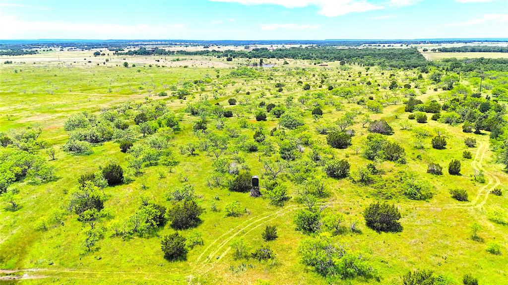 11020 Hwy 281