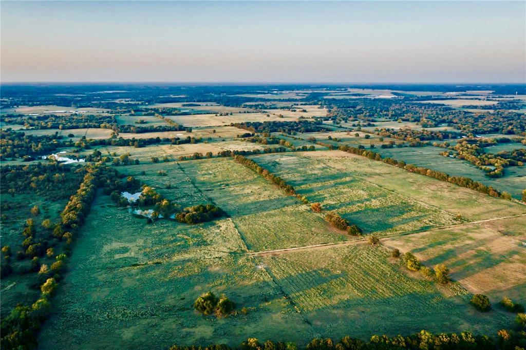 James Webb Surey - Farm
