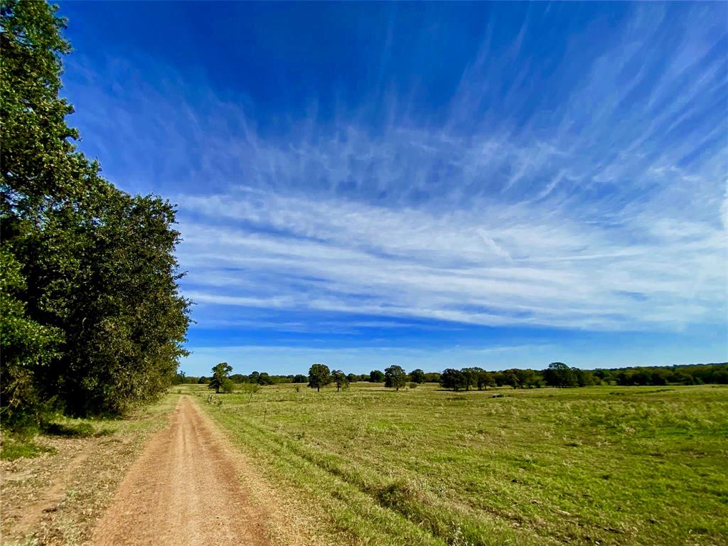James Webb Surey - Farm