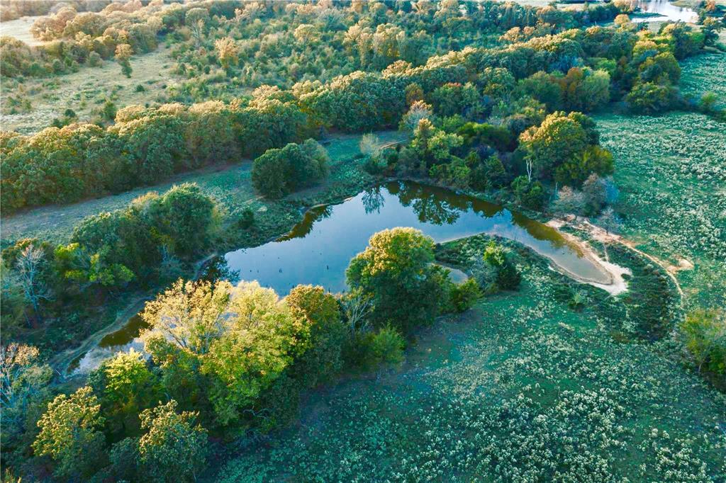 James Webb Surey - Farm