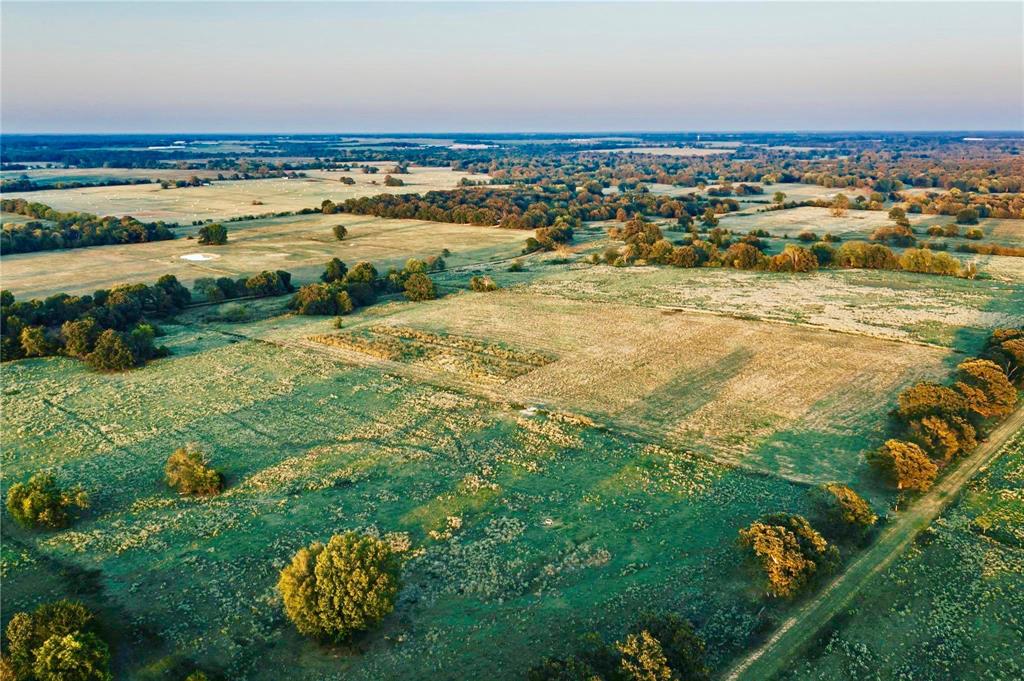 James Webb Surey - Farm