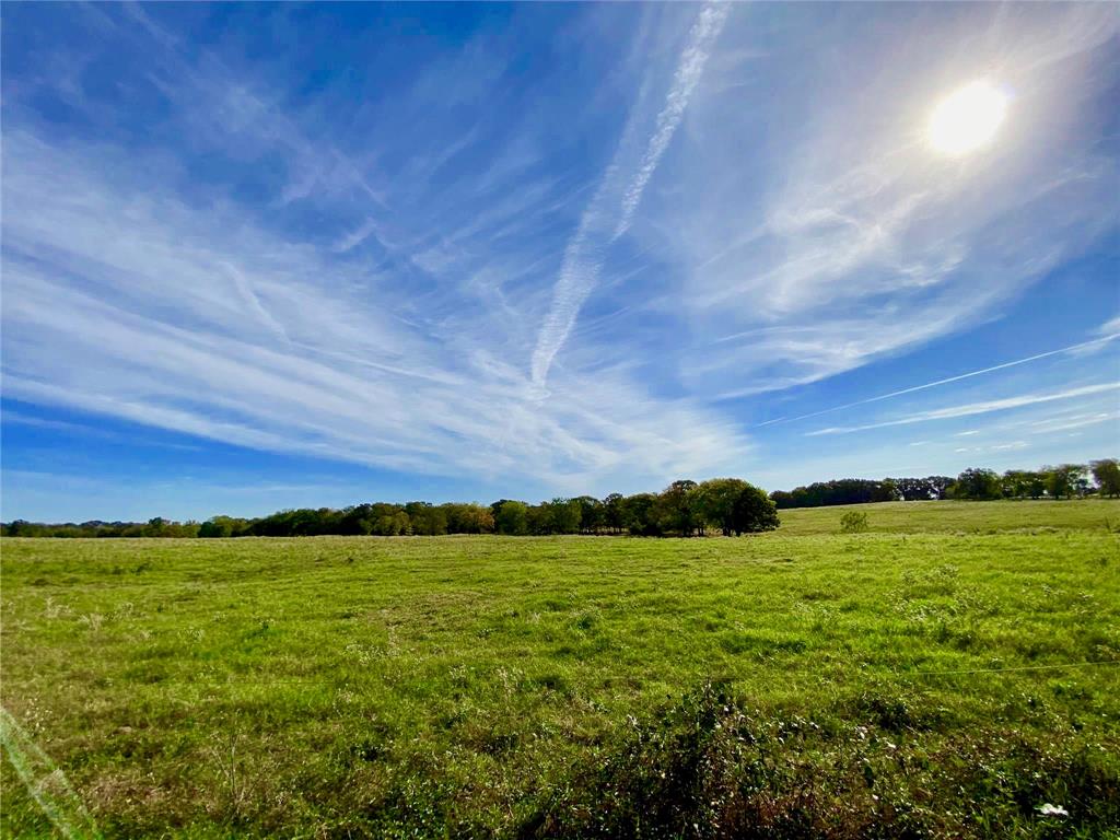 James Webb Surey - Farm