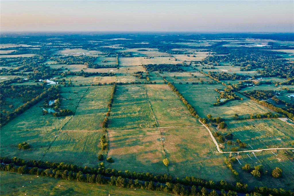 James Webb Surey - Farm