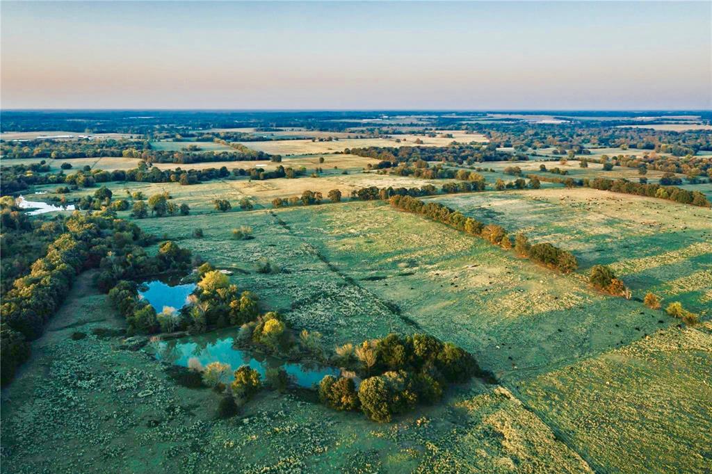 James Webb Surey - Farm