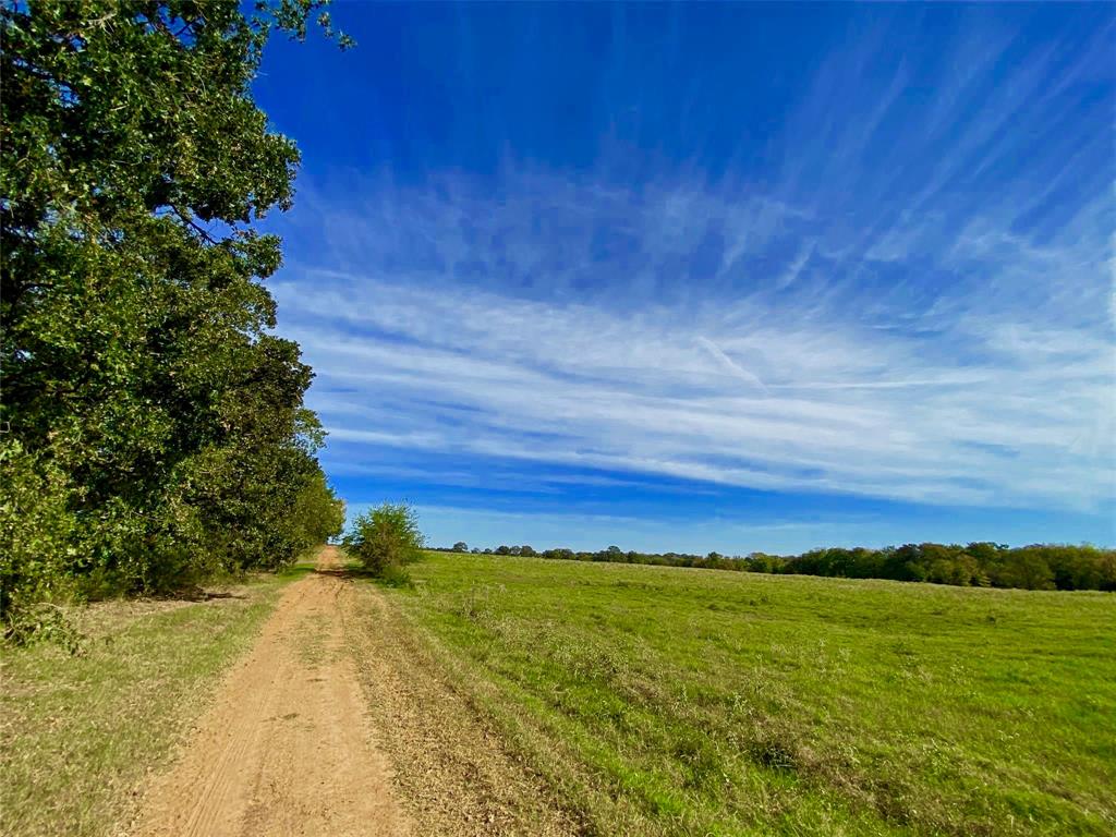 James Webb Surey - Farm
