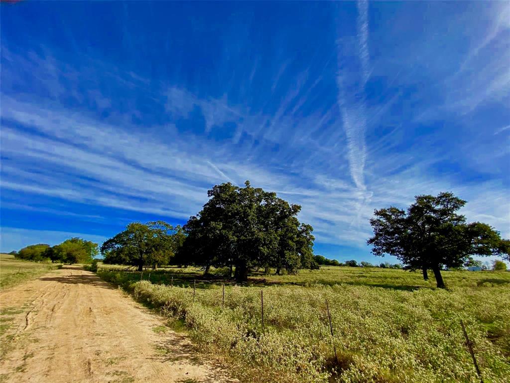 James Webb Surey - Farm