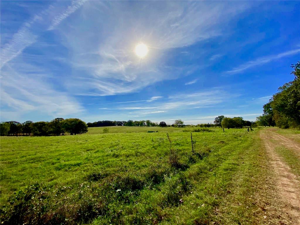 James Webb Surey - Farm