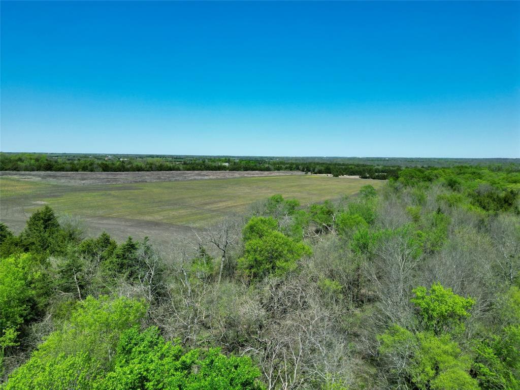 A0188 T CHISUM - Land