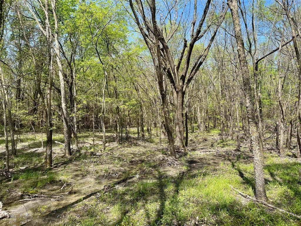 A0188 T CHISUM - Land