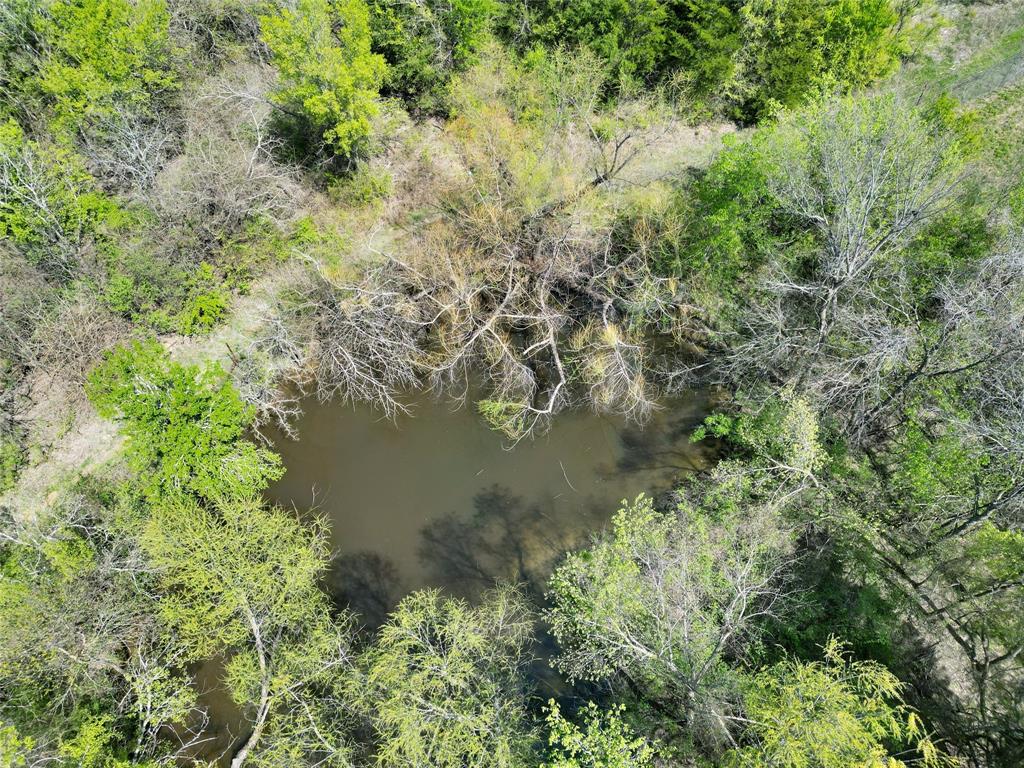 A0188 T CHISUM - Land