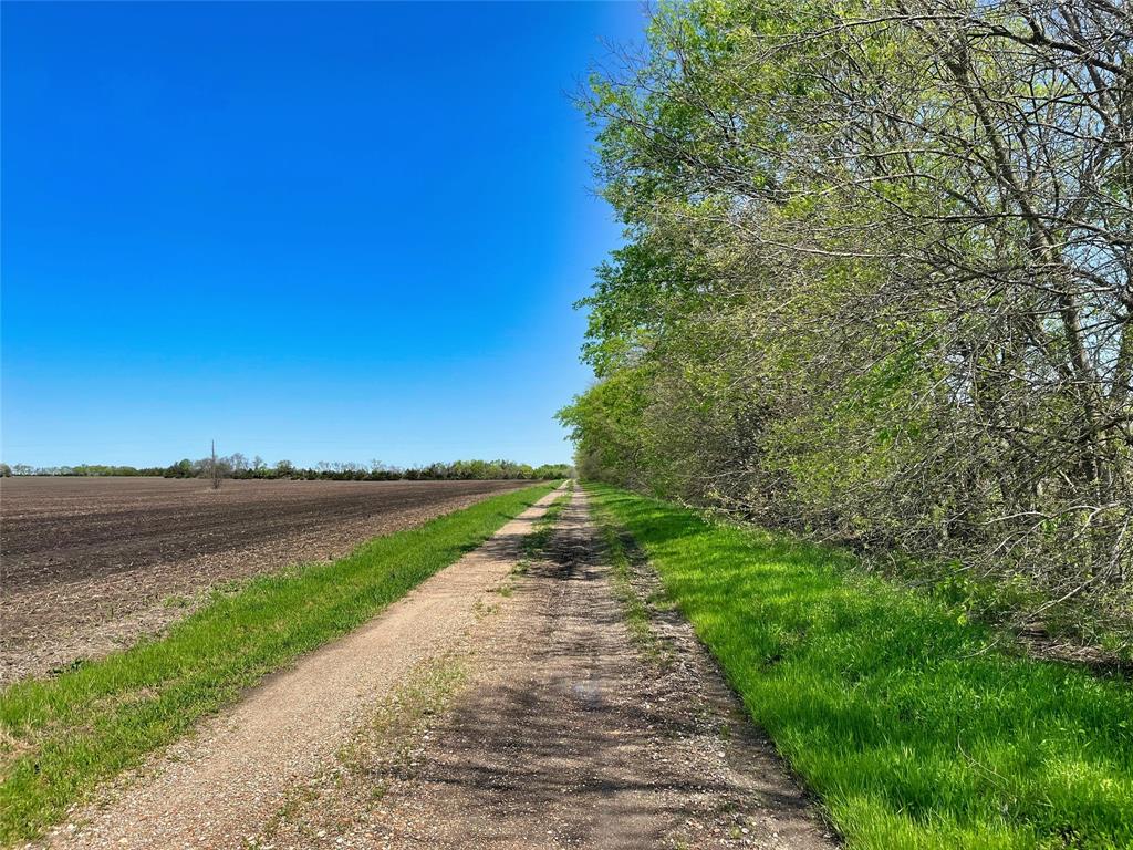 A0188 T CHISUM - Land