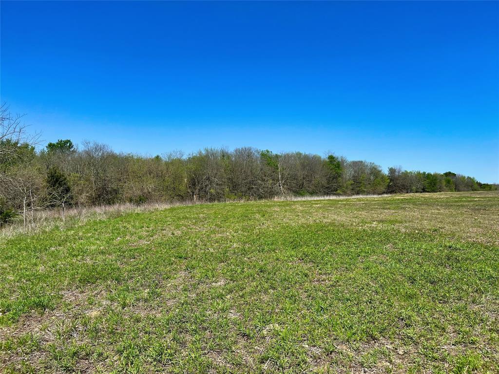 TBD County Road 3555