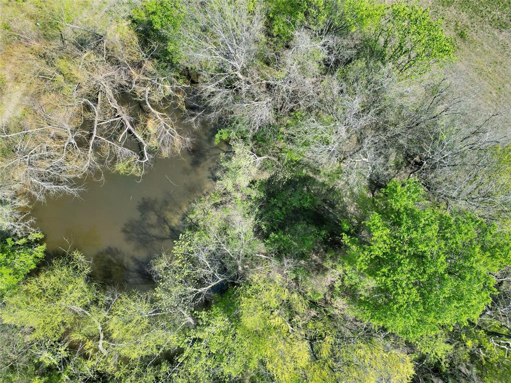 A0188 T CHISUM - Land