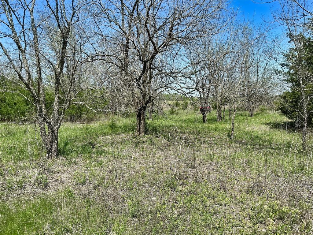 A0188 T CHISUM - Land