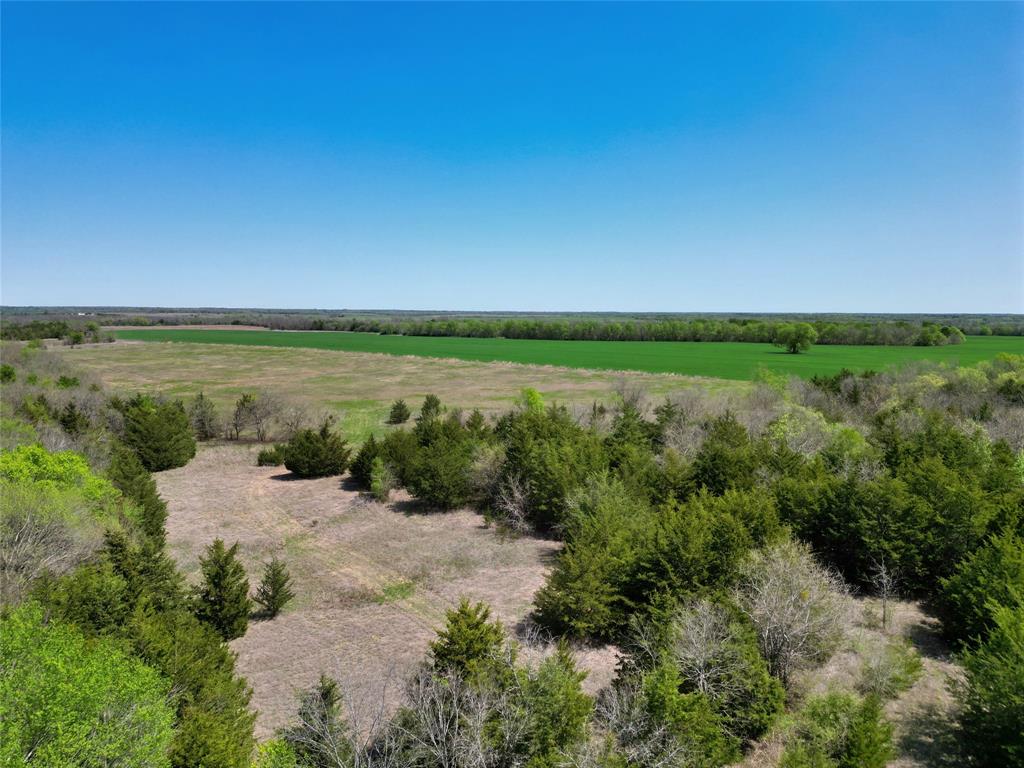 A0188 T CHISUM - Land