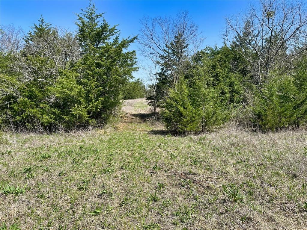 TBD County Road 3555
