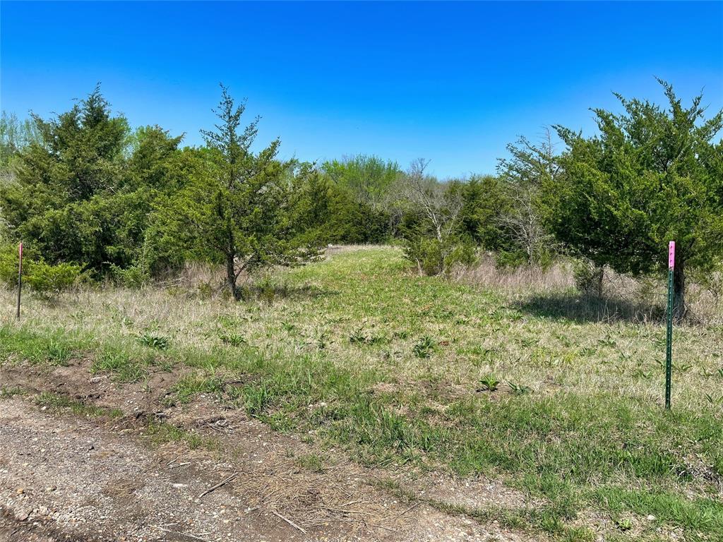 A0188 T CHISUM - Land