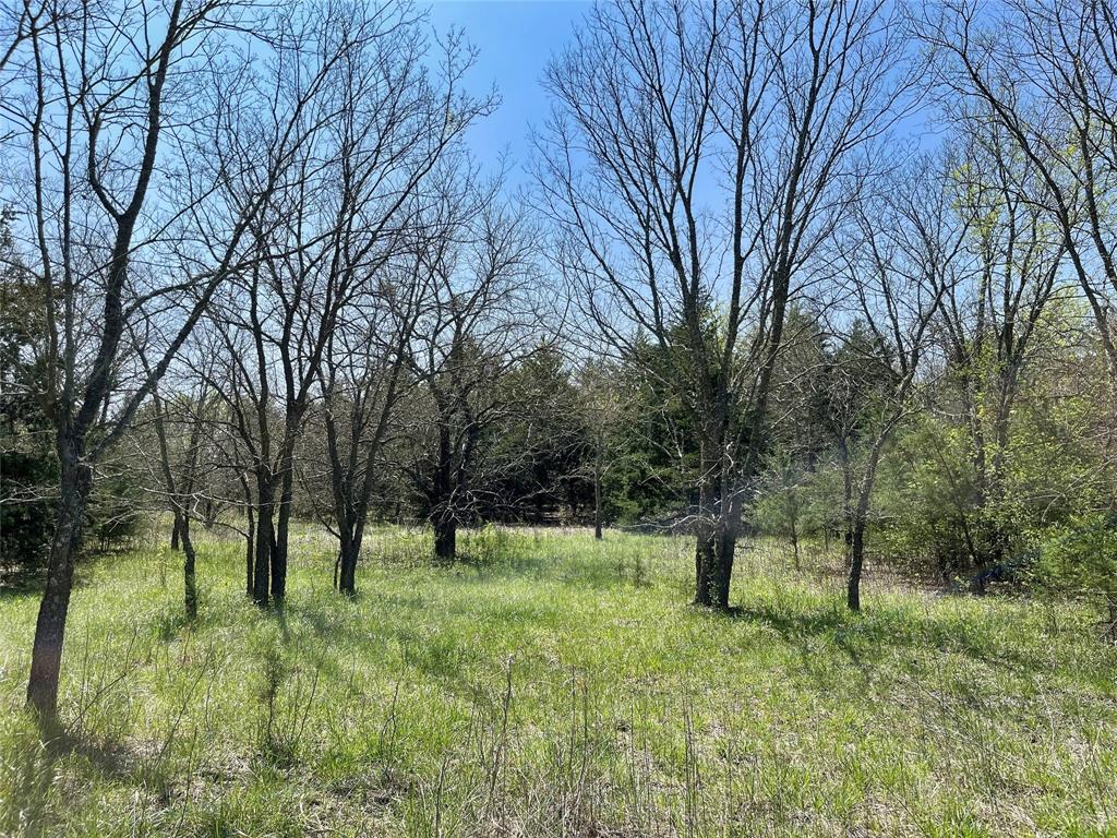 A0188 T CHISUM - Land