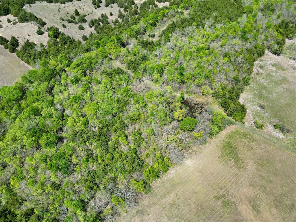 A0188 T CHISUM - Land