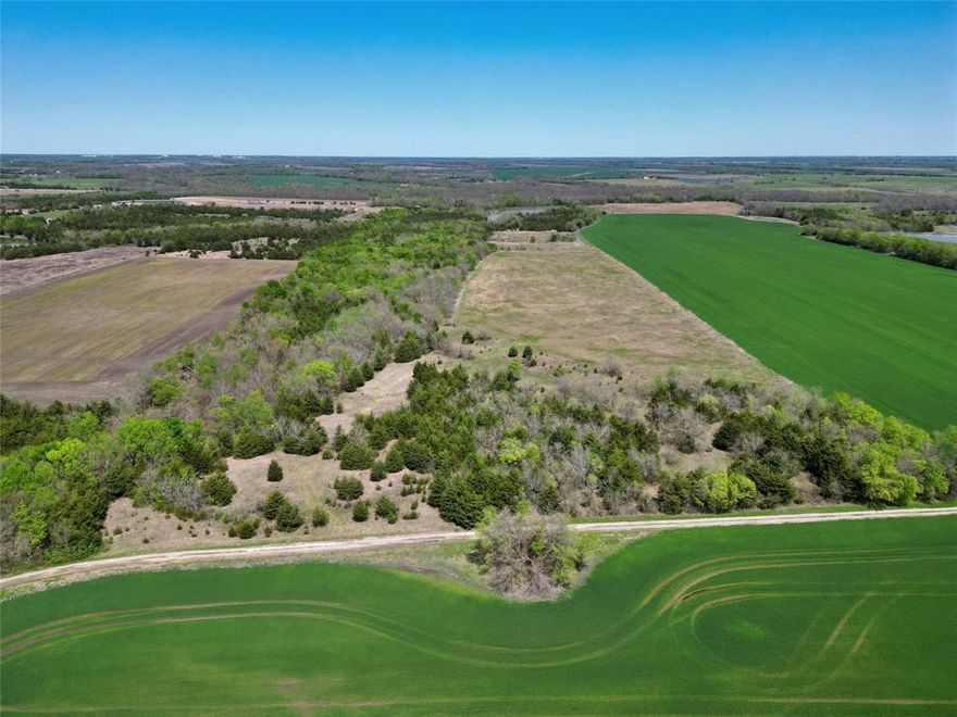 This 26.441-acre property offers a rare opportunity for those seeking peace, privacy, and natural beauty. Located just 5 miles southeast of Honey Grove and within close proximity to the emerging recreational hubs of Lake Ralph Hall and Bois d’Arc Lake, this land strikes the perfect balance between seclusion and convenience.

The property features a mix of open native pasture and wooded land, providing ample space for both outdoor activities and potential development. A treed area off the road presents a natural building site, offering a serene setting for your dream home or weekend retreat. Utilities are available in the area but will need to be extended from the south. 

This property has established wildlife tax exemption which offers the property tax benefits similar to what is commonly referred to as an ag exemption. This reduces the annual property tax bill by a great amount. The current owner has adopted a wildlife plan attracting a diverse range of native species including deer, hogs, dove, and other birds and animals. The next owner will have the opportunity to adopt or modify the plan to further both the wildlife and tax benefits. The area offers excellent opportunities for hunting, wildlife viewing, and outdoor exploration.

Located approximately 5 miles southeast of Honey Grove ;About 4 miles northeast of the new Lake Ralph Hall, offering boating, fishing, and water recreation; Roughly 11 miles southeast of Bois d’Arc Lake, another new lake for fishing, boating, and outdoor adventures; 18 miles east of Bonham, providing easy access to local amenities and only 47 miles northeast of McKinney for urban conveniences