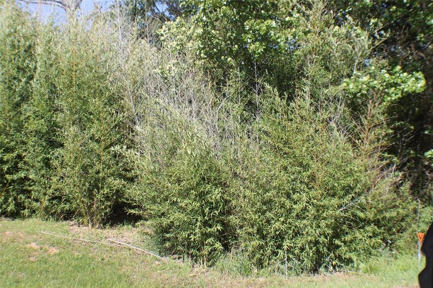 Paradise Bay has the perks of lake life, with boating, fishing, and outdoor recreation just minutes away. Great place to build a home. With easy access to utilities, paved roads, and community amenities, bring your inspiration to life in a peaceful, yet growing area. Tool, Tx is known for its serene atmosphere, small-town charm, and proximity to Dallas, making it a perfect location for those looking to escape the city while remaining connected.
Buyer to do all research on restrictions, easements, etc.  Buyer will need to purchase a survey.