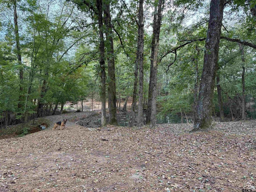 12670 County Road 168