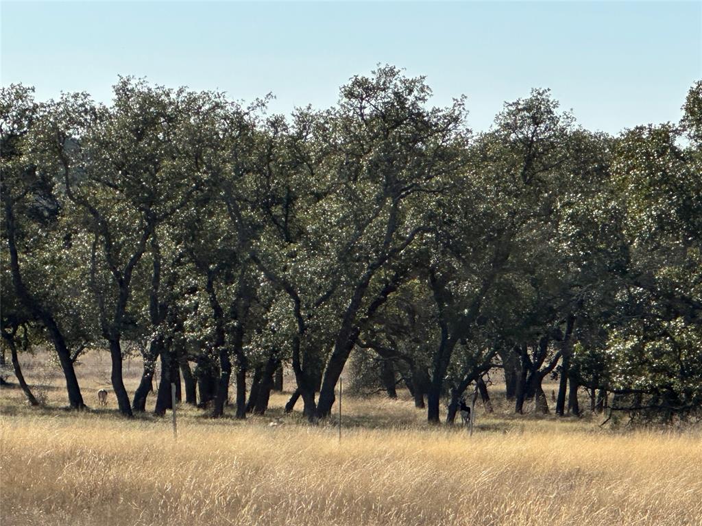Ranches At Blackbuck Ridge - Land