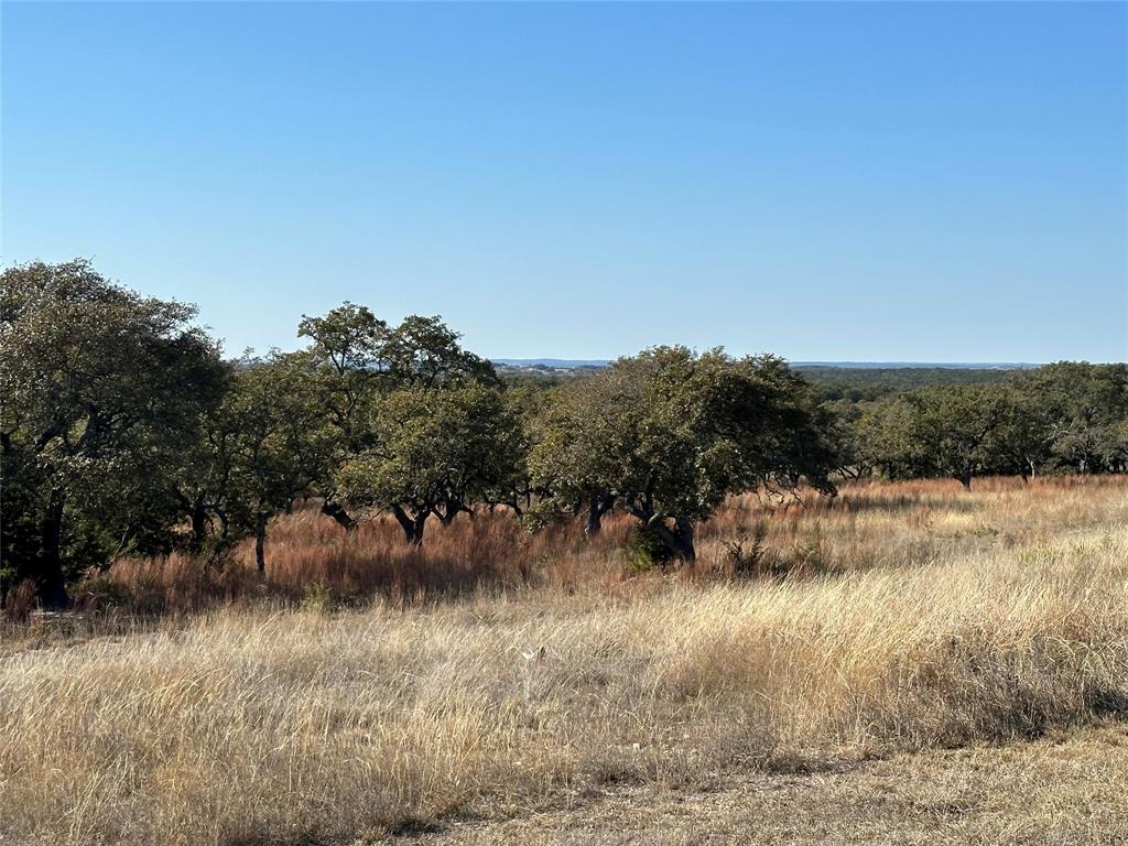 Ranches At Blackbuck Ridge - Land