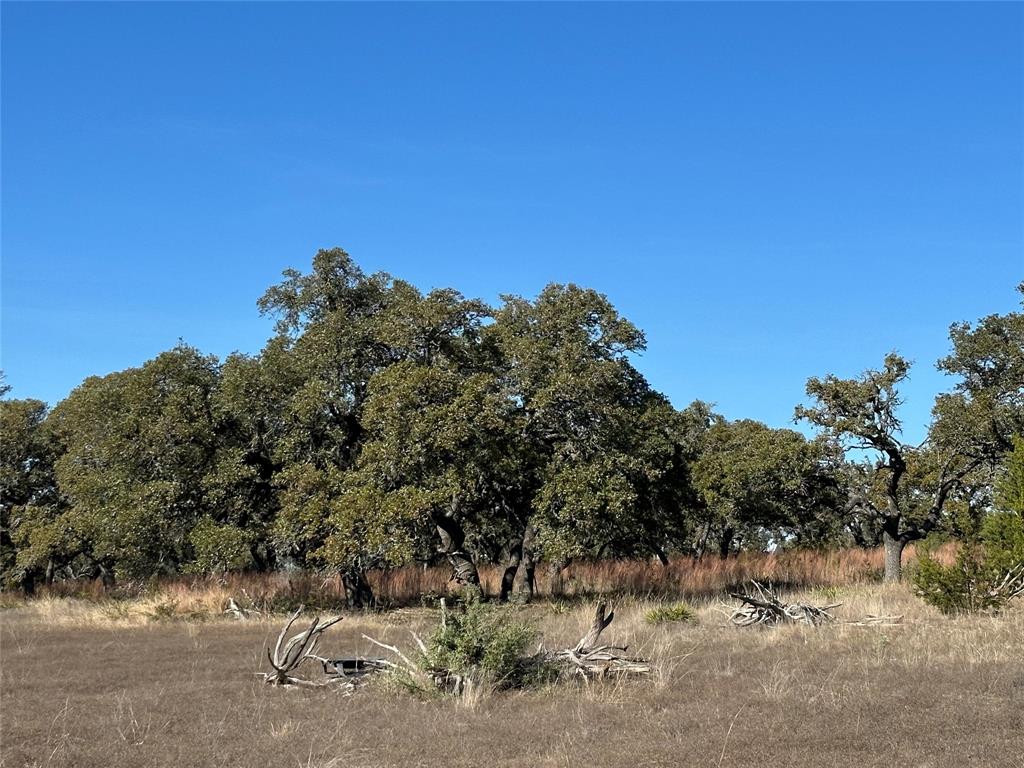 Ranches At Blackbuck Ridge - Land