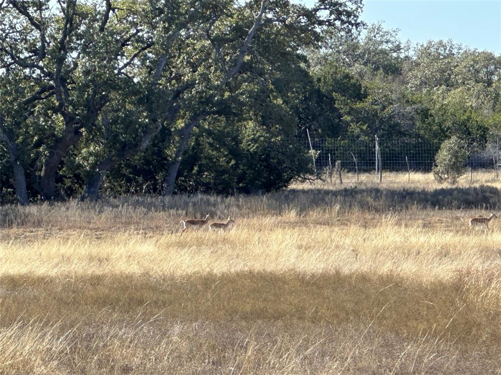 Ranches At Blackbuck Ridge - Land