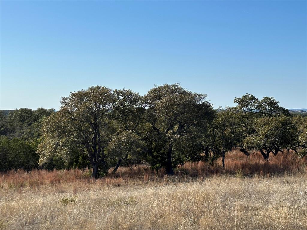Ranches At Blackbuck Ridge - Land