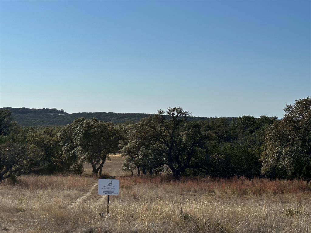 Ranches At Blackbuck Ridge - Land