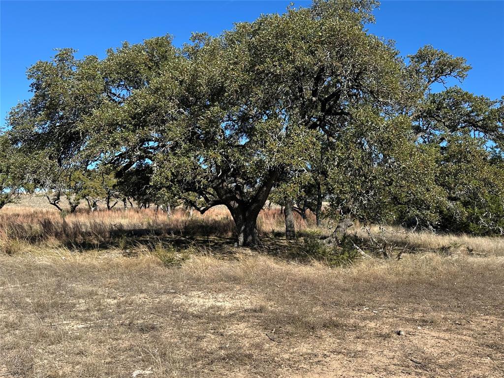 Ranches At Blackbuck Ridge - Land