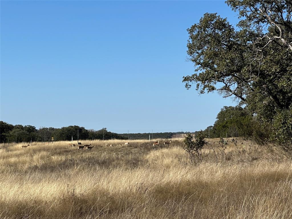 Ranches At Blackbuck Ridge - Land