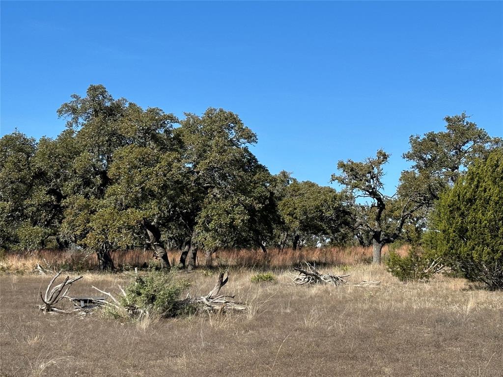 Ranches At Blackbuck Ridge - Land