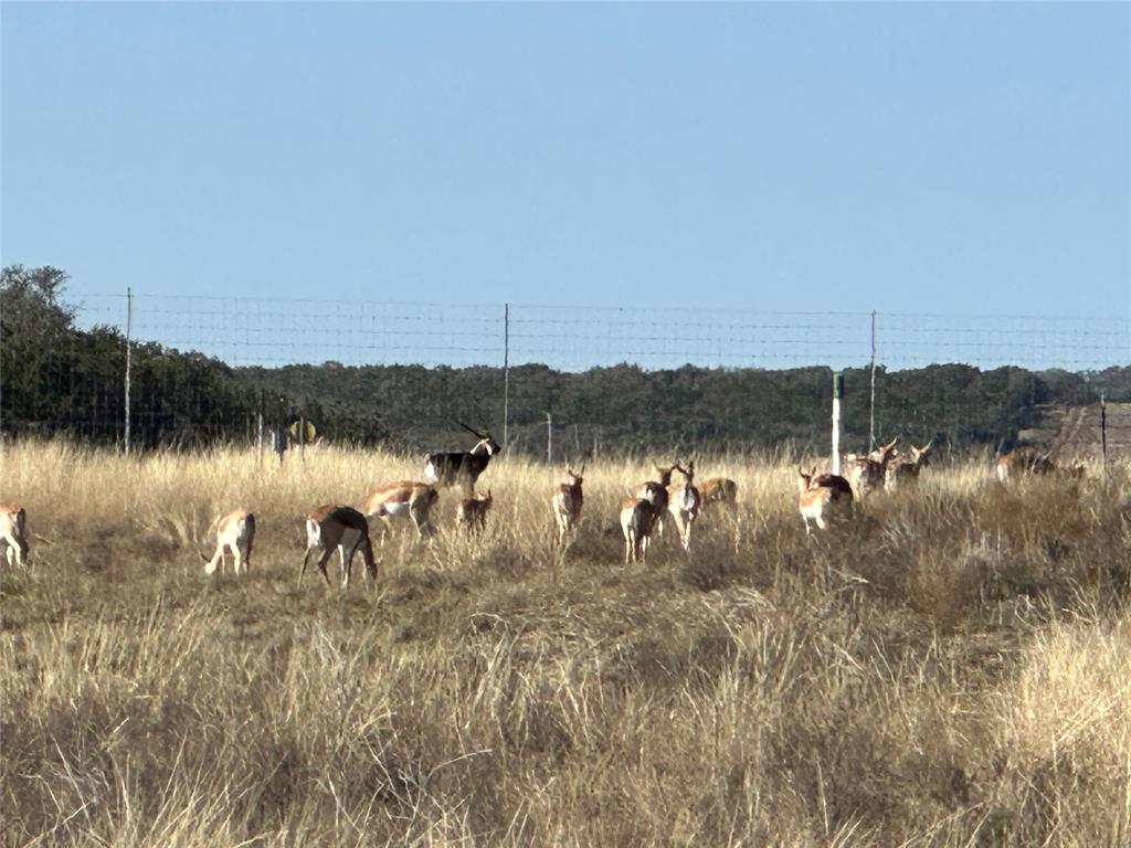 Ranches At Blackbuck Ridge - Land