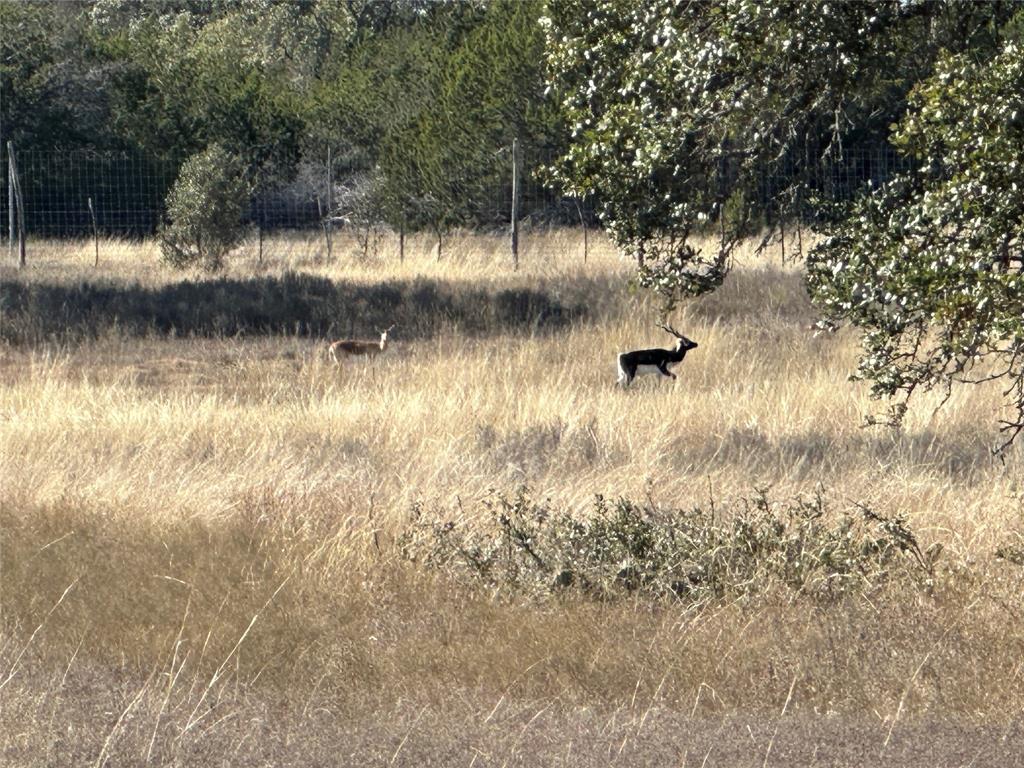 Ranches At Blackbuck Ridge - Land