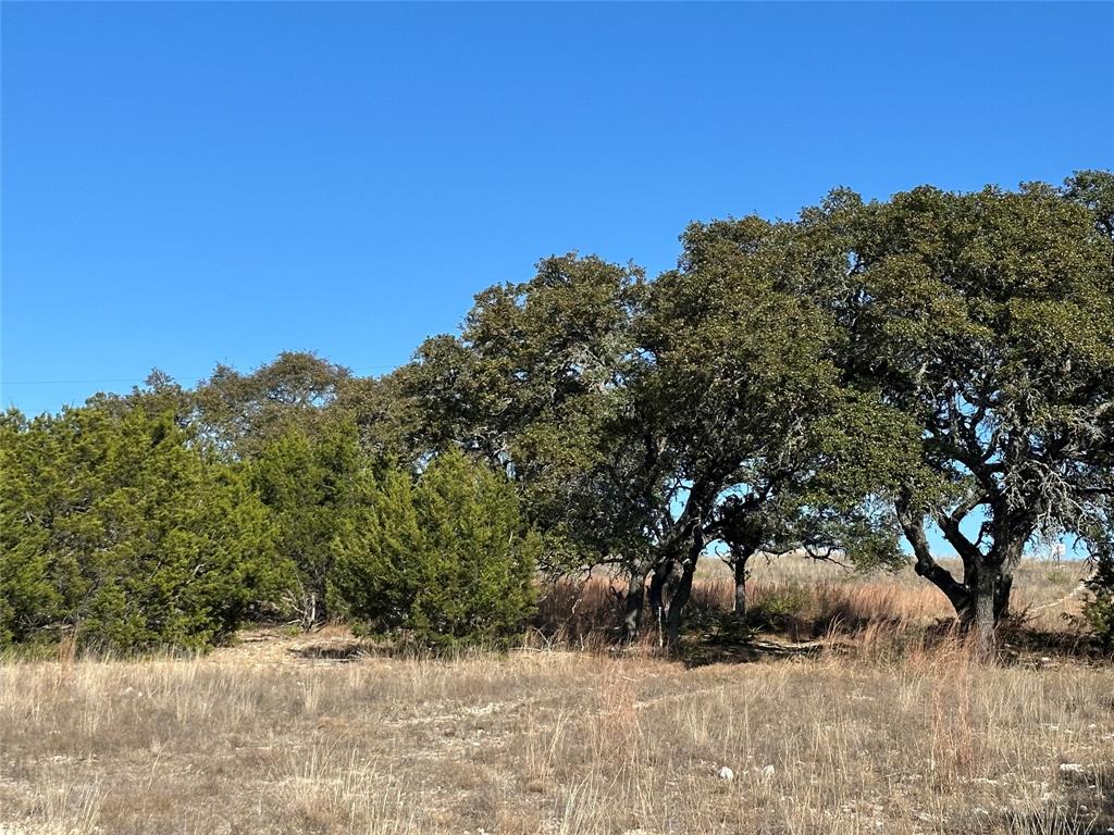 Ranches At Blackbuck Ridge - Land