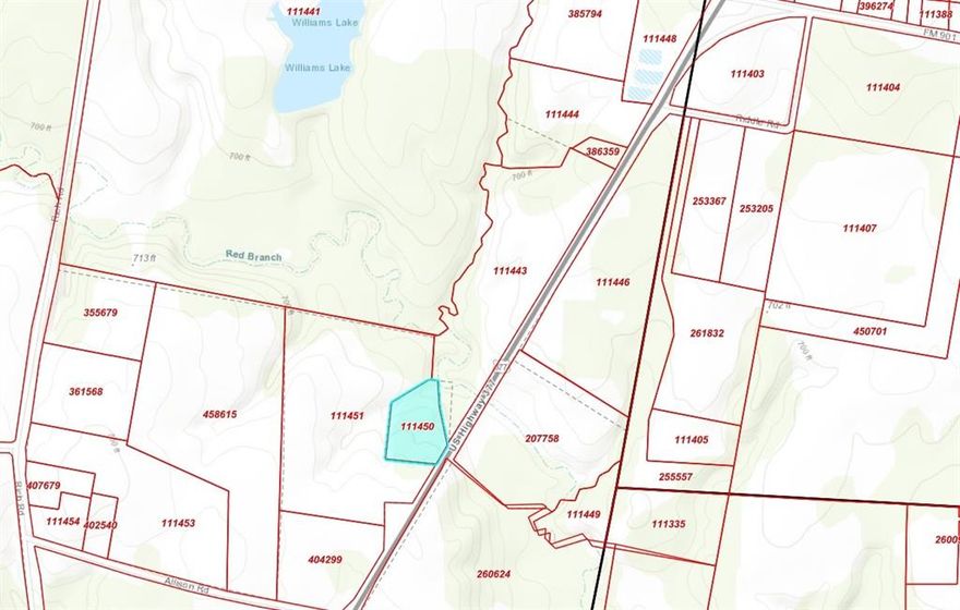 Prime unimproved land, 4.3 acres, with 166 feet of front on Highway 366. Go and show, no gates or codes. See photos section for lot dimensions and aerial shots.
