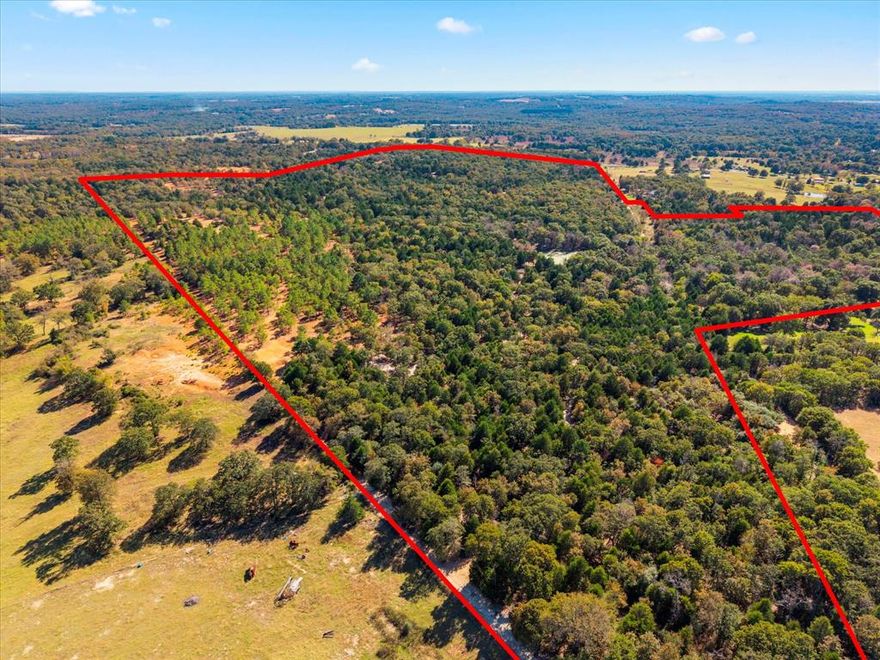 High Point Ranch: Exceptional 141+ Acre Ag-Exempt Property in Van Zandt County.  Located minutes from Canton, Mabank, and Athens. With over 1,100 feet of prime blacktop road frontage, this remarkable 141+ acre ag-exempt property offers one of the highest elevated settings in the area, providing sweeping views, rolling terrain, and exceptional privacy. Formerly part of an exotic wildlife park, the land has been thoughtfully improved and is uniquely positioned for recreation, investment, or a private retreat.  The property features a high fenced perimeter with predator wire, making it ideal for livestock, wildlife management, or a private residence or compound. A deep private well with multiple water drops throughout the property ensures reliable water access for livestock, future home sites, or expanded operations.  Rolling topography creates multiple prime building sites, each offering scenic vantage points and flexibility for future development. A large, well-established pond enhances both the beauty and functionality of the land and is excellent for duck hunting and wildlife attraction.  With ag exemption in place, infrastructure improvements, and a rare combination of elevation, water, and location, this property is well-suited for a private ranch, recreational getaway, future subdivision, or long-term investment.  This is a rare opportunity to own a legacy-quality tract of land in one of East Texas’s most desirable and accessible locations.