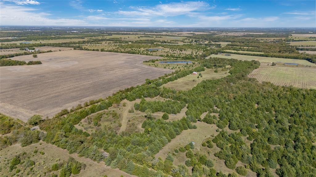 TBD County Road 4260