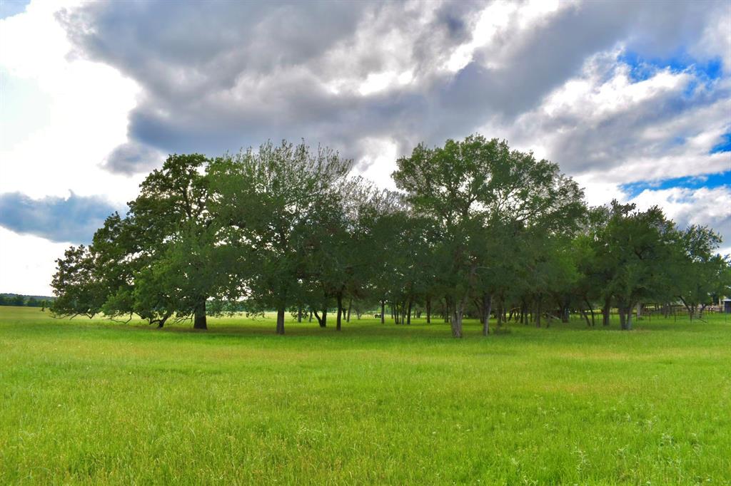 977 County Road 150