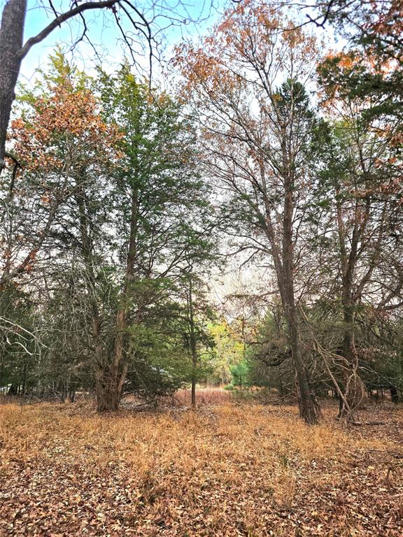 Safari Waters Ranch - Land