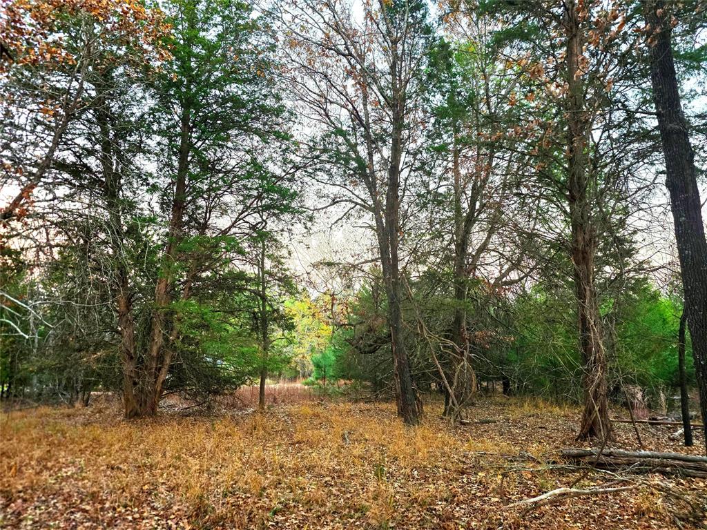 Safari Waters Ranch - Land