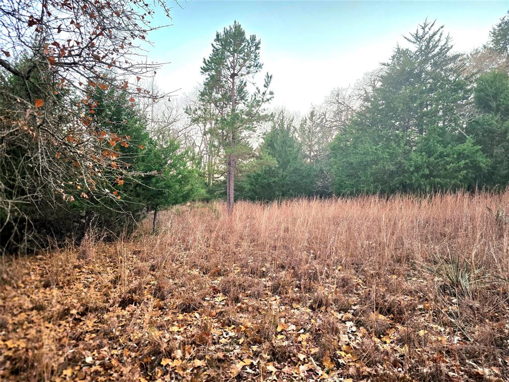 Safari Waters Ranch - Land