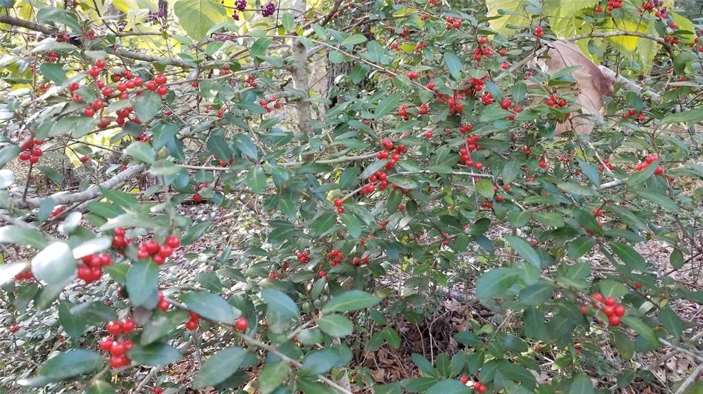 Safari Waters Ranch - Land