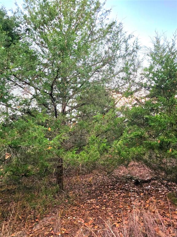 Safari Waters Ranch - Land